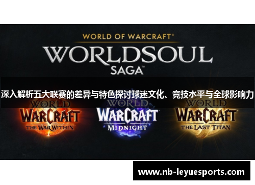 深入解析五大联赛的差异与特色探讨球迷文化、竞技水平与全球影响力