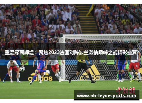 重温绿茵辉煌：聚焦2023法国对阵波兰激情巅峰之战精彩盛宴