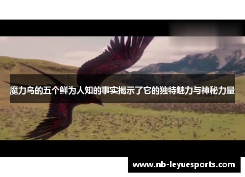 魔力鸟的五个鲜为人知的事实揭示了它的独特魅力与神秘力量