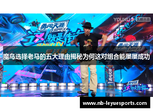 魔鸟选择老马的五大理由揭秘为何这对组合能屡屡成功
