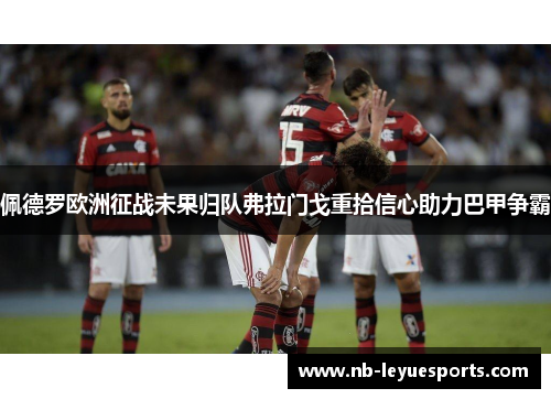 佩德罗欧洲征战未果归队弗拉门戈重拾信心助力巴甲争霸