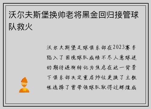 沃尔夫斯堡换帅老将黑金回归接管球队救火